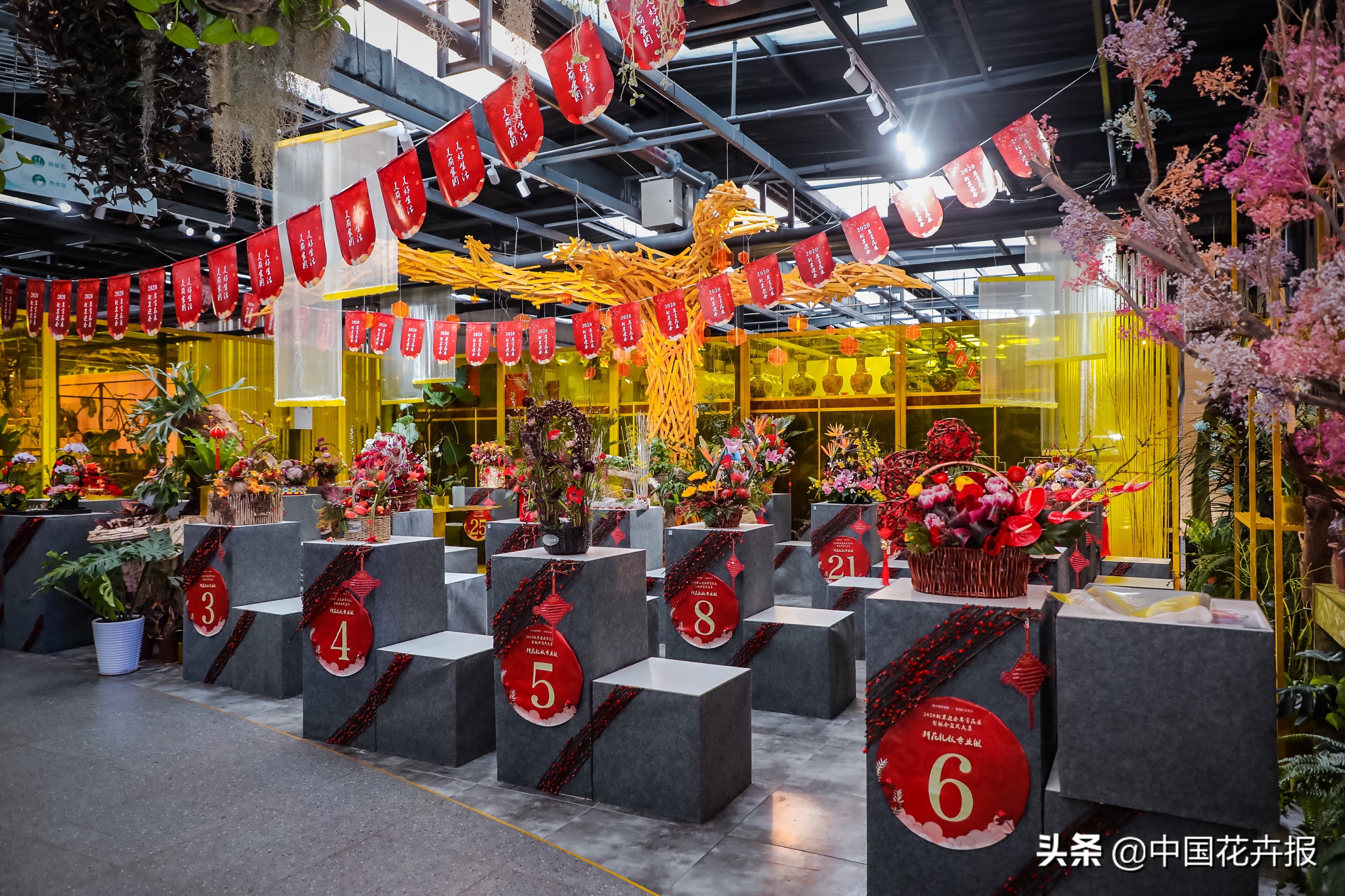 北京迎春花展,北京春季花展时间表