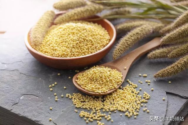 五谷杂粮蛋有什么营养价值,五谷杂粮大米饭的营养价值