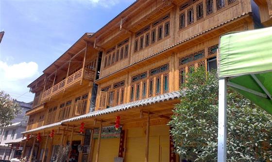 黄山的金凤凰,山沟里的金凤凰湖北