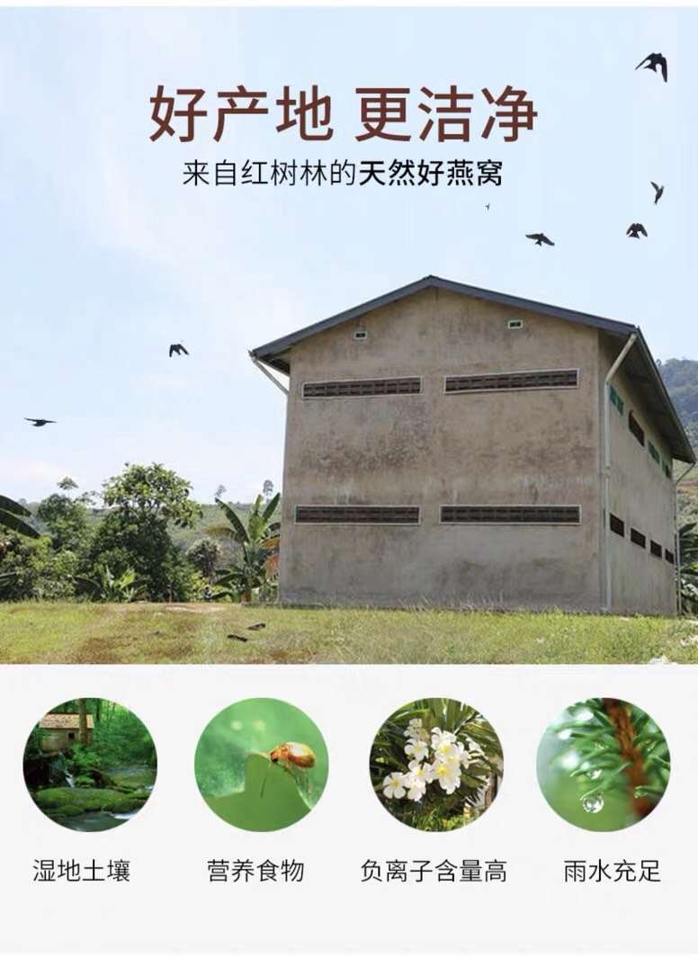 燕窝溯源码辨别真假,燕窝溯源码扫出来是什么