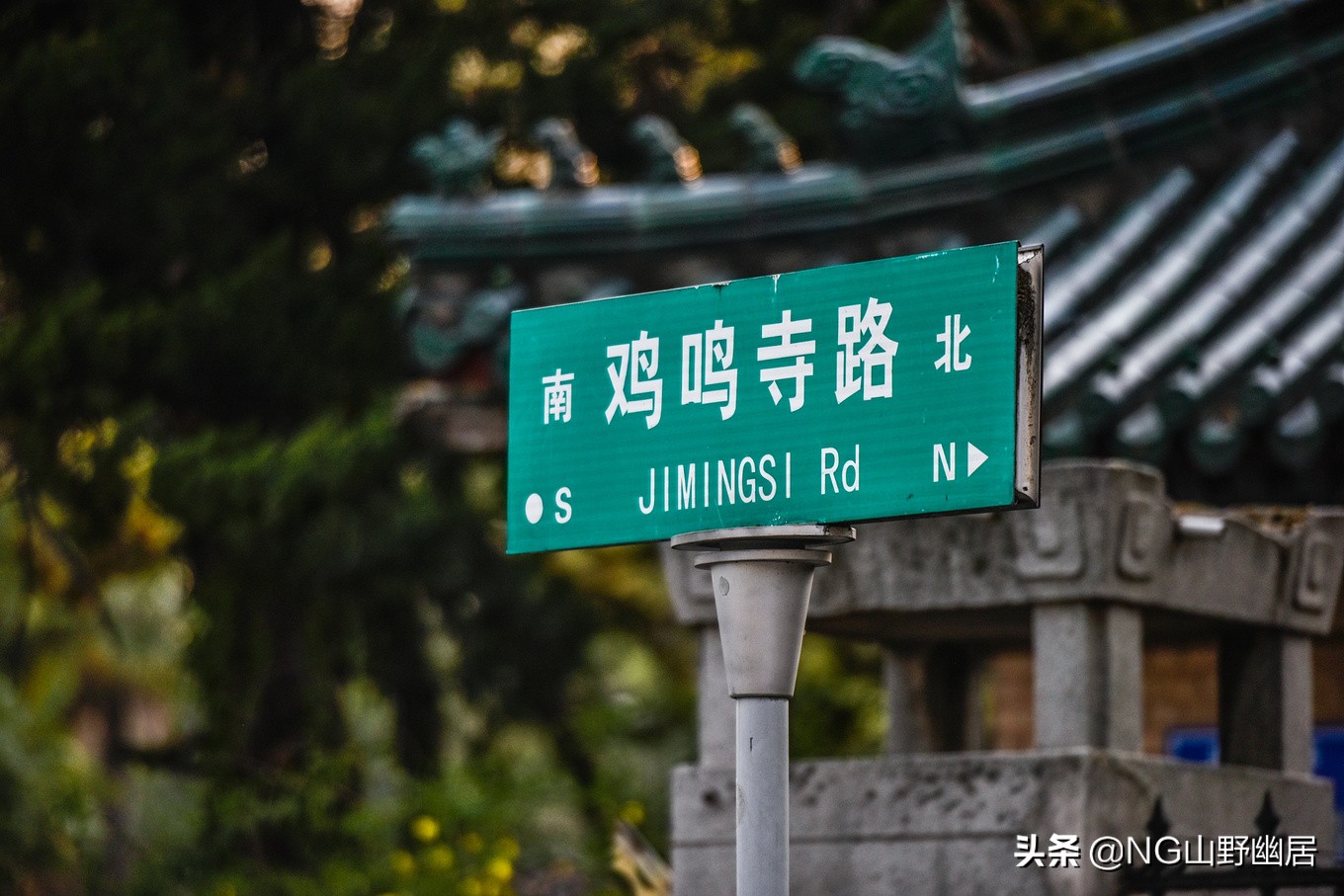 最美南京鸡鸣寺,春天南京鸡鸣寺樱花