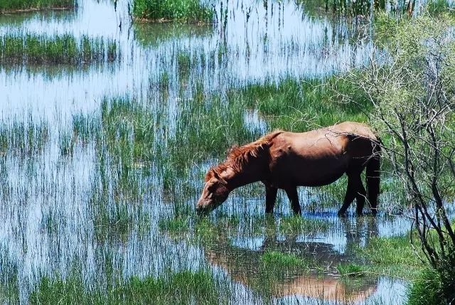2019年全球必去的52个目的地,2023必去旅游地方排名