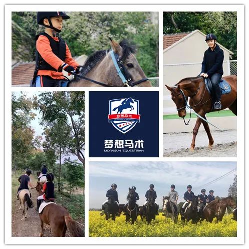 无锡梦想马术体育,无锡马术比赛