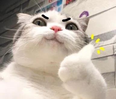 如何给孩子布置黑板墙,家长学校墙面布置