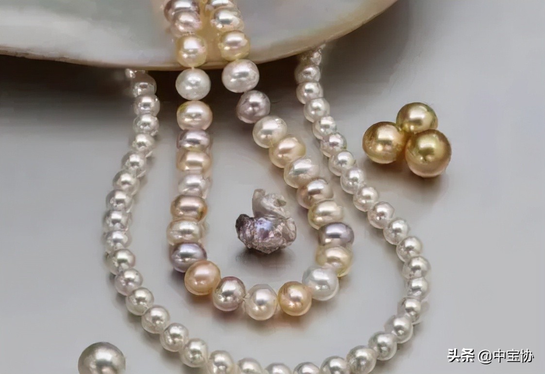 挑选珍珠饰品的小技巧是什么,挑选珍珠蚌秘籍