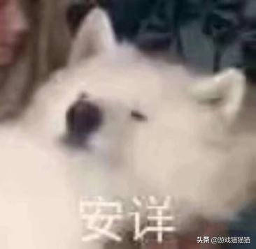 学会就是赚到,学会赚钱就要学会省钱