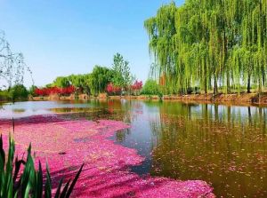 陕西浐灞区,陕西浐灞