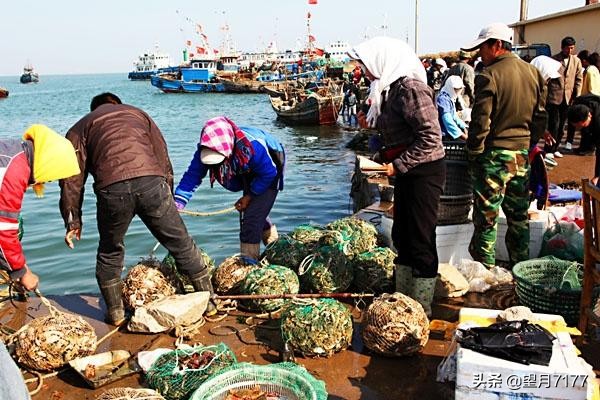 航天英雄的家乡绥中,葫芦岛杨利伟广场地址