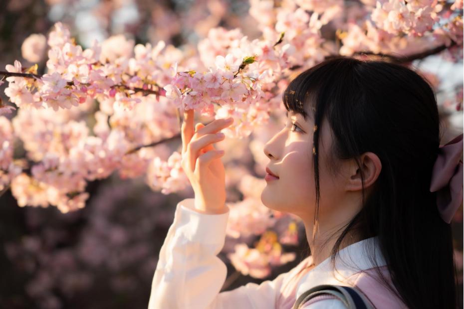 适马24-702.8二代镜头测评,适马新出的24-702.8镜头怎样