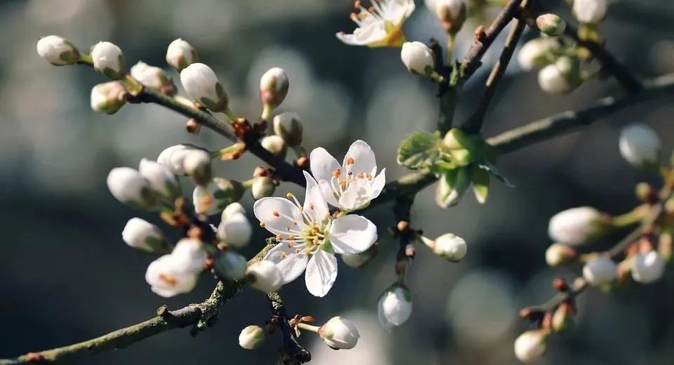 无法开刀的Ⅲ期非小细胞肺癌，如何做到治愈？