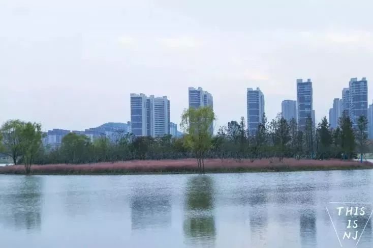 南京免费的公园,太全了