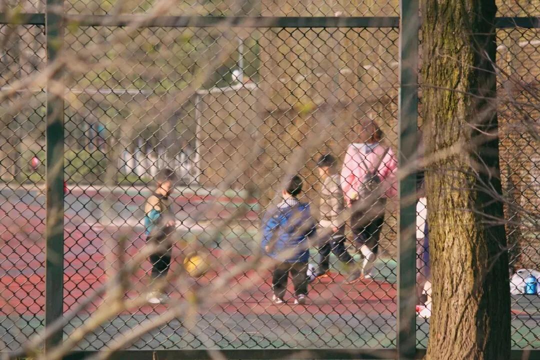 踏春邀请函怎么写,邀请朋友踏春邀请函制作