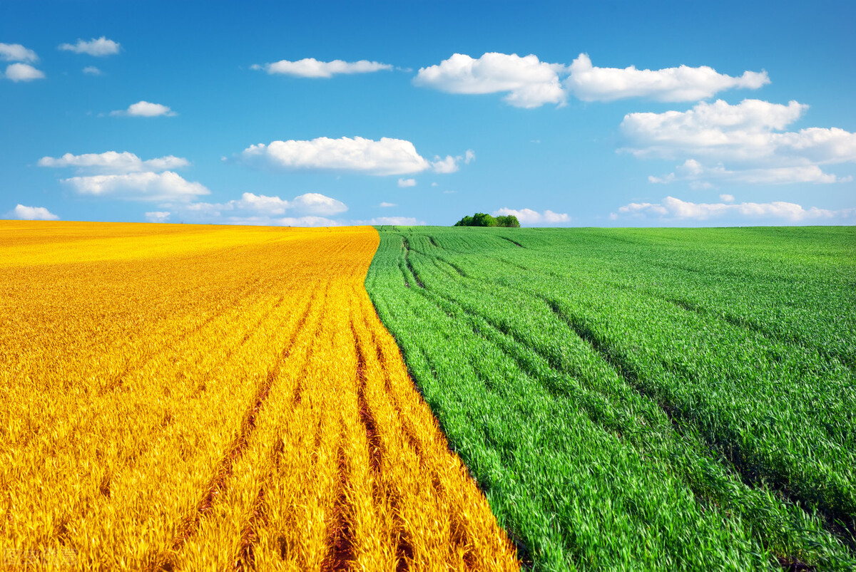 2024年湖北省重点项目清单黄冈,湖北黄冈最新通报