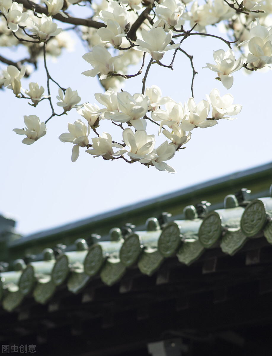 拍摄古建筑摄影技巧,古建筑双人拍照怎么拍出高级感