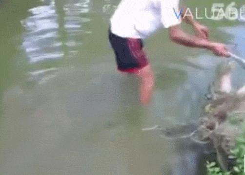 小伙玩了一下电鳗，直接口吐白沫倒下，我们该怎么和电鳗玩耍？