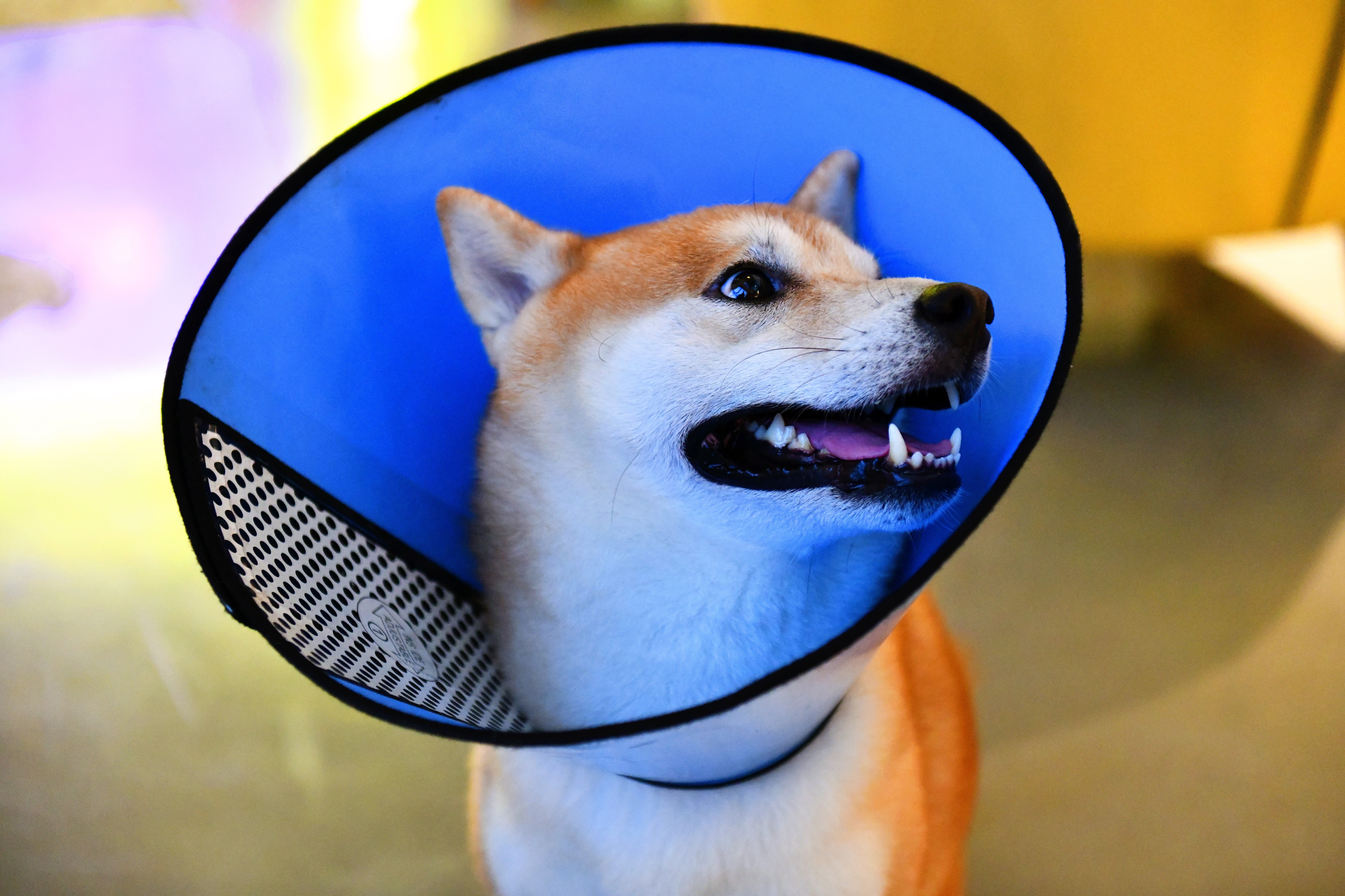 广州潮人来Hea的地方99%的本地人都不知道