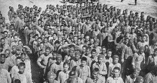 柳叶刀顾问病毒传播,柳叶刀质疑中国肝器官来源