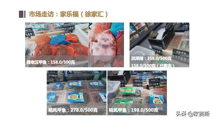 欧赛斯带你全方位洞察甲鱼市场发展趋势及竞争格局