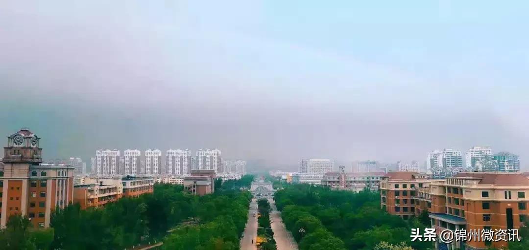 锦州渤海大学!全国最美大学之一!新入学的同学想知道的都在这里