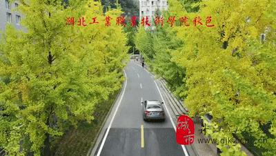 十堰银杏风景区在哪里,十堰银杏景点