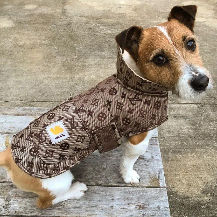 碧梨、TS最爱的品牌，竟是一家“假货制造营”？