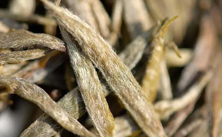 中国5种土豪茶，最贵的克价12万，一壶泡掉上百万