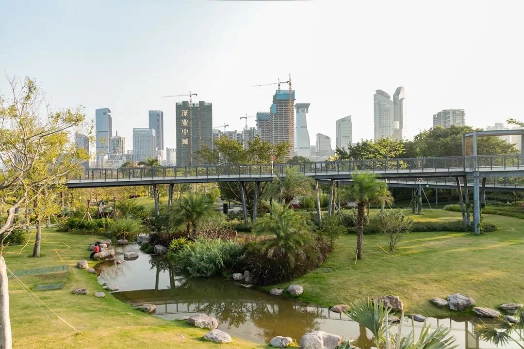 深圳周末浪漫好去处,深圳浪漫约会地点十个景点