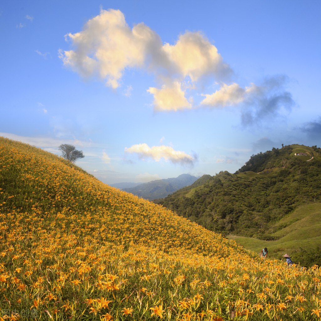 涔″湡涓浗鍙版咕,瀹濆矝鍙版咕鍦扮悊鍥剧墖