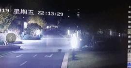 昨天杭州两个小男孩，带着心爱的小弓箭去爬山，幻想是去打猎，没想到真遇到了大家伙