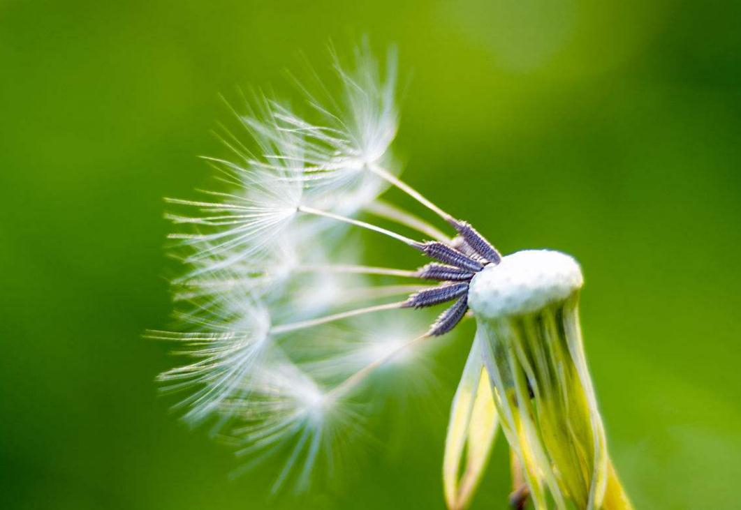 对待聪明人的办法,面对阴险狡猾的人该怎么回避他