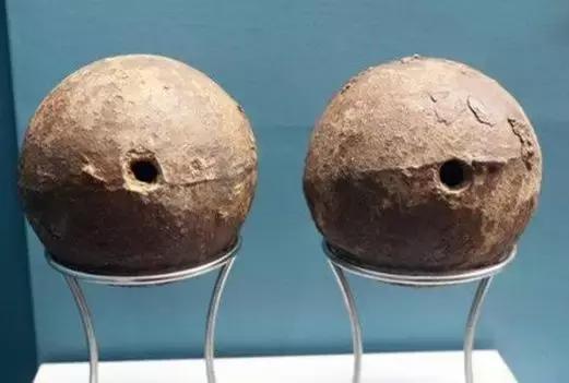 Science•活物誌丨纳尼？这世上还真有炮弹树？！所以能吃吗？