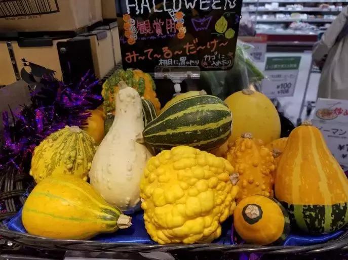 日本精致的日常生活 (日本的精致日常生活)