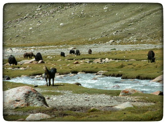 小普陀|转山——冈仁波齐，我蒙昧开悟的心神