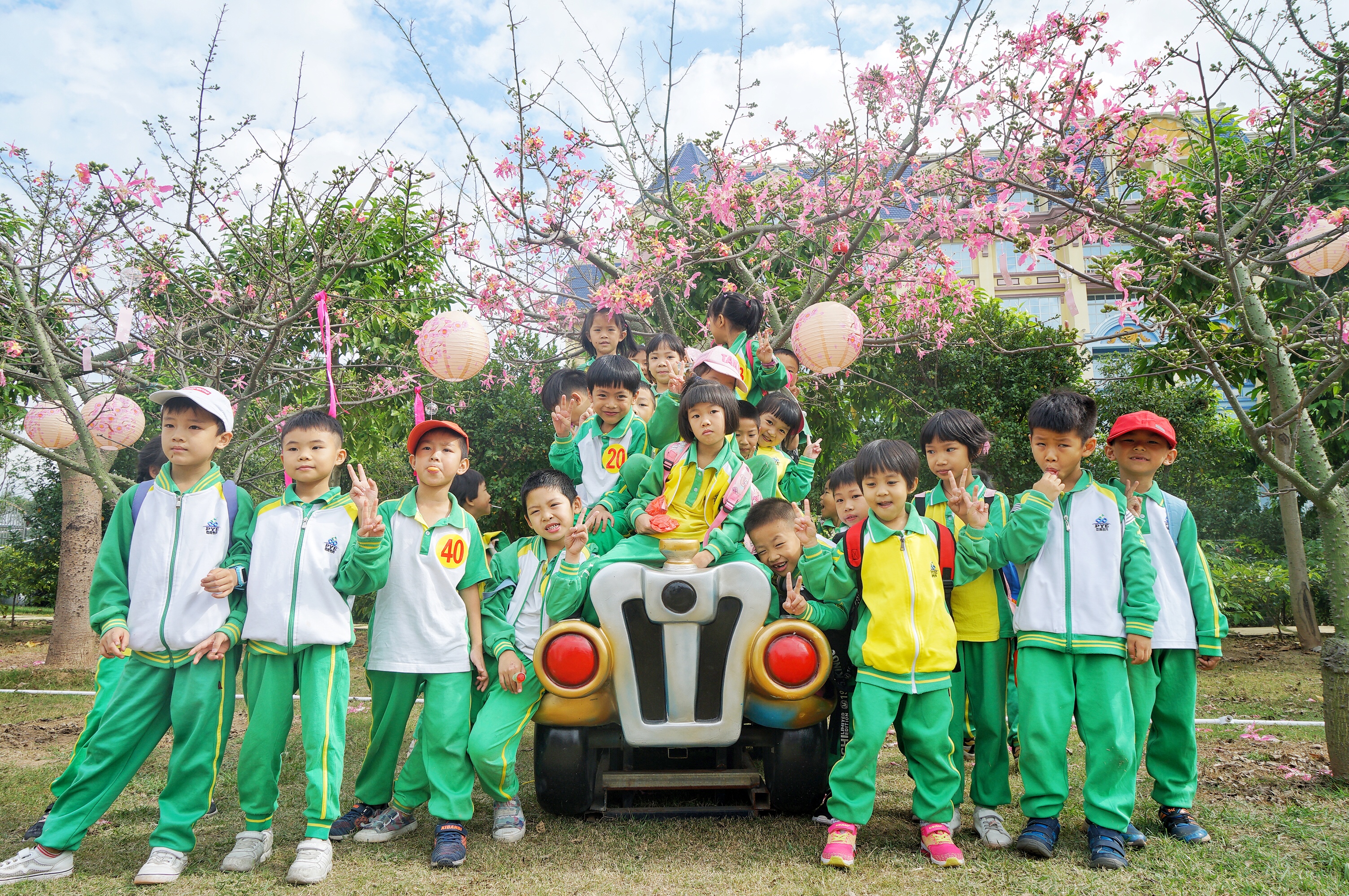 广州粉色浪漫花海,广东秋天粉色花海