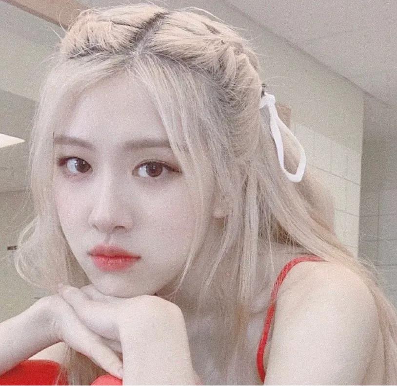 rose澳洲野玫瑰红裙子 (rose澳洲野玫瑰)