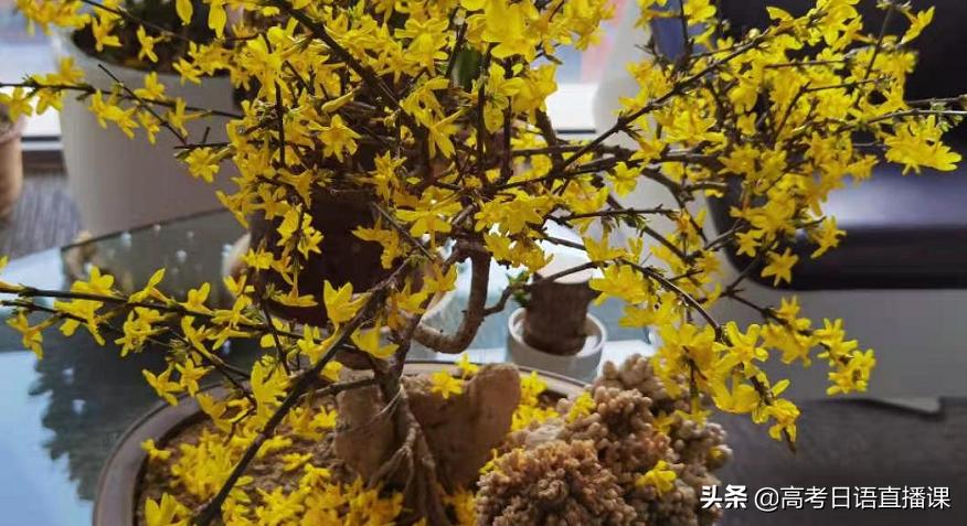 高考日语中的必背句型,高考日语十大必考