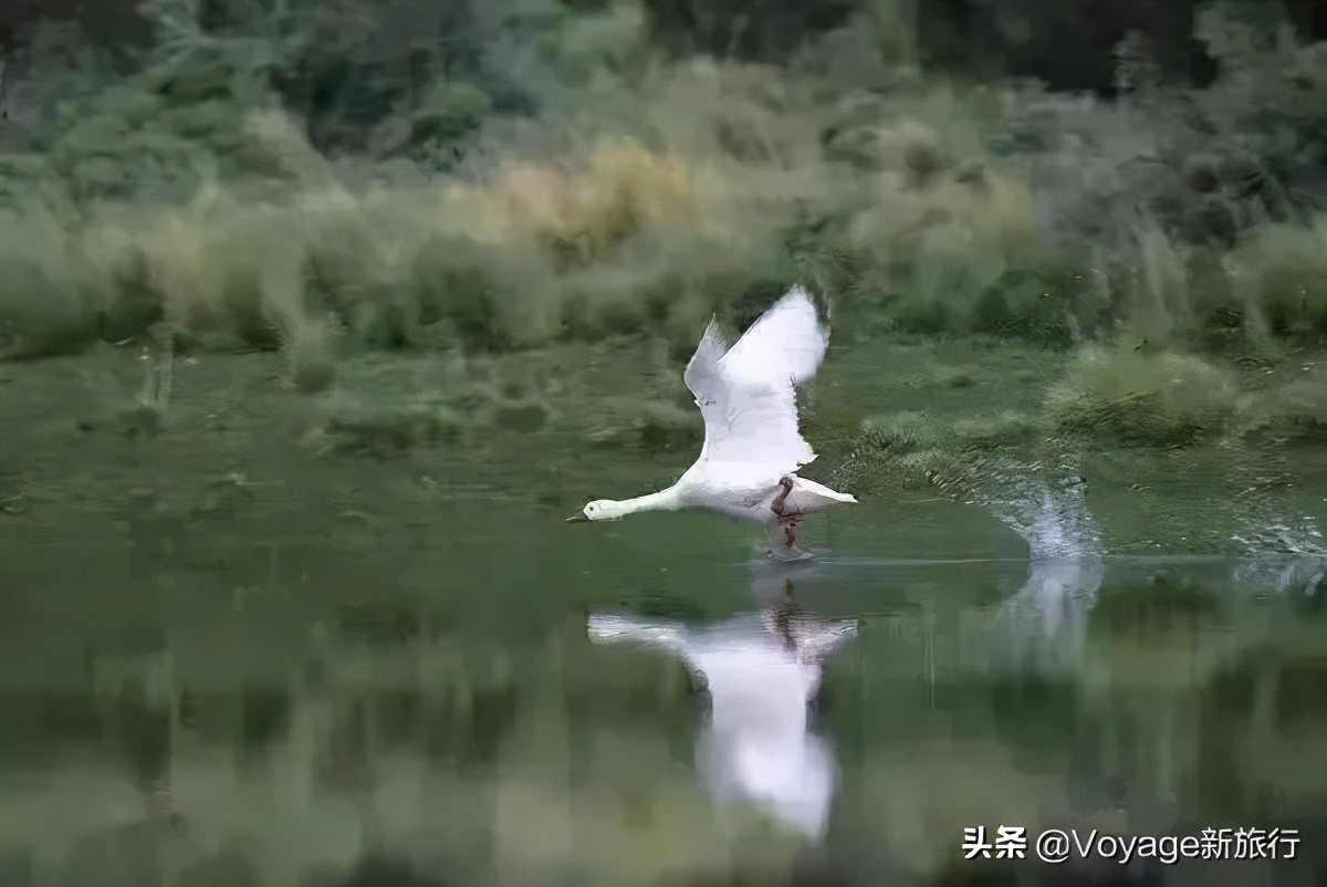 27个世界湿地日,世界湿地之都