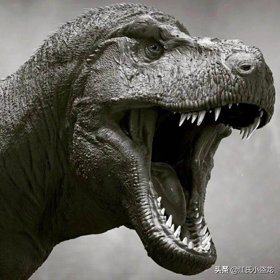 霸王龙在各时段的演化,霸王龙多大的时候可以独立