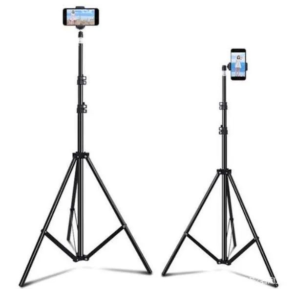 现在的直播红利期在哪个平台,直播红利期