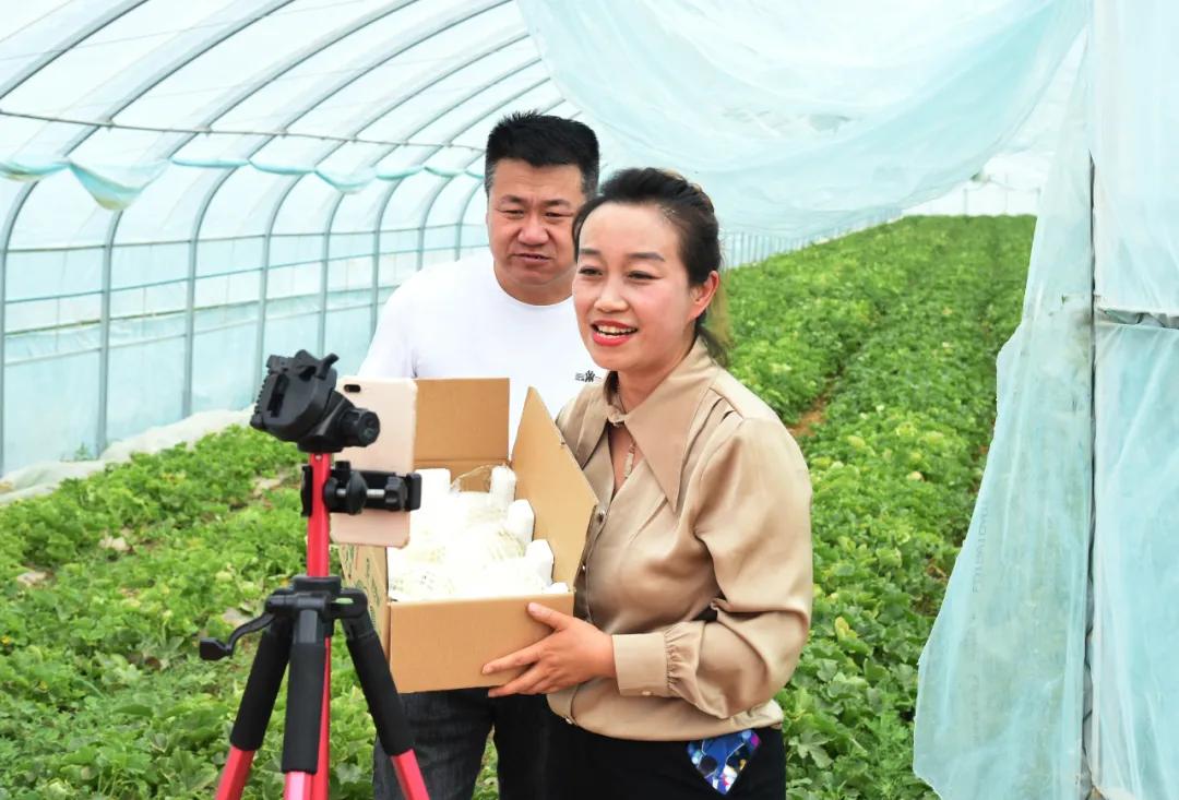 黑柳白梨脆,黑柳子白梨脆甜瓜直播