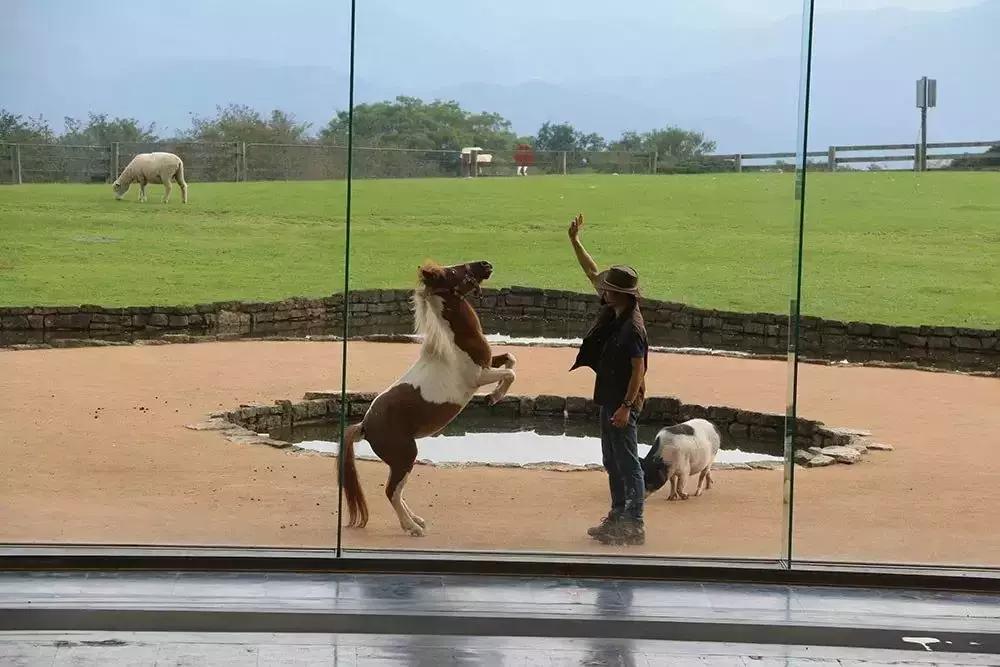 日本顶级农业农场,日本田园农场排行榜