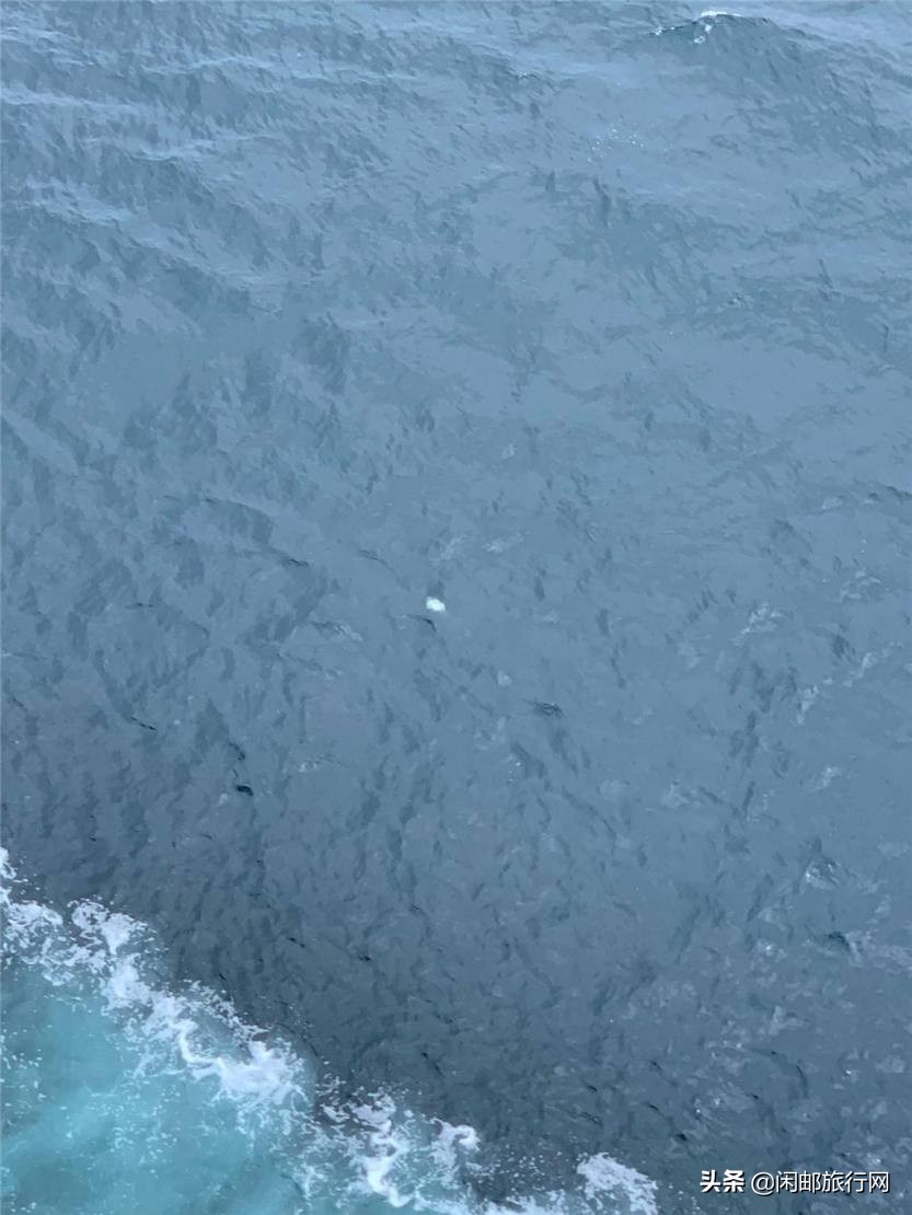 鹿儿岛大西洋游轮,海洋光谱号第三天到达鹿儿岛