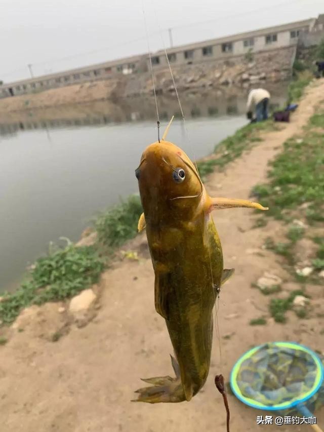 在家没事制作钓鱼浮漂,没事自己制作一根钓鱼竿