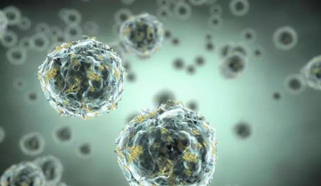 安然纳米安然之家,安然纳米查询