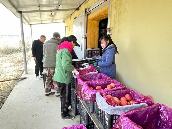 平安产险党建工作总结,党建引领安全生产技术创新