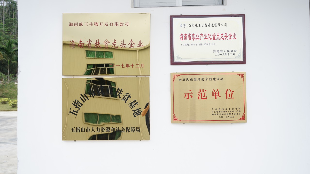 调研联盟,联合调研乡村振兴