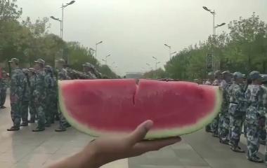 布朗熊与妮可兔奶茶,学弟军训学姐送奶茶