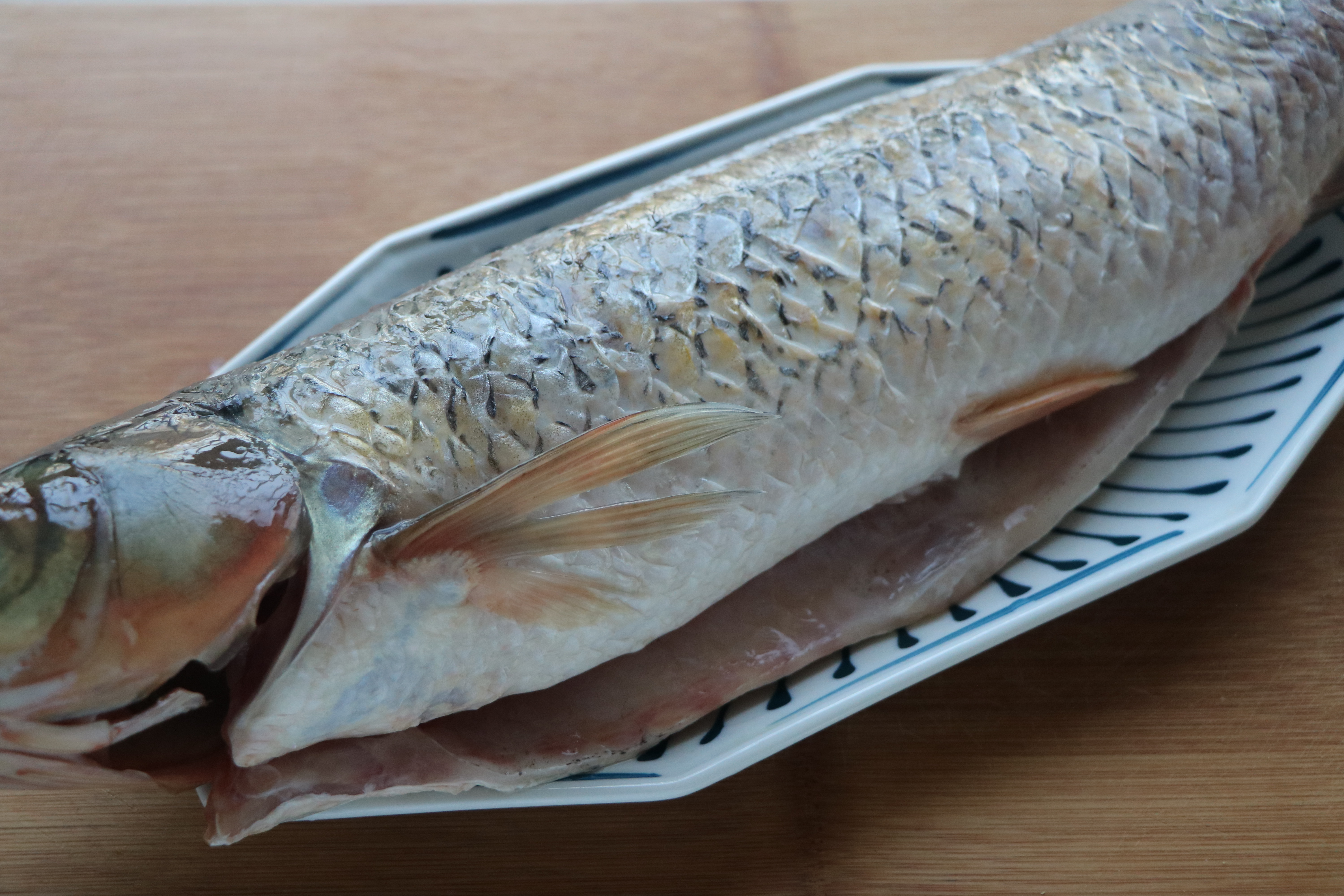 草鱼的家常焖法,我家草鱼从不红烧