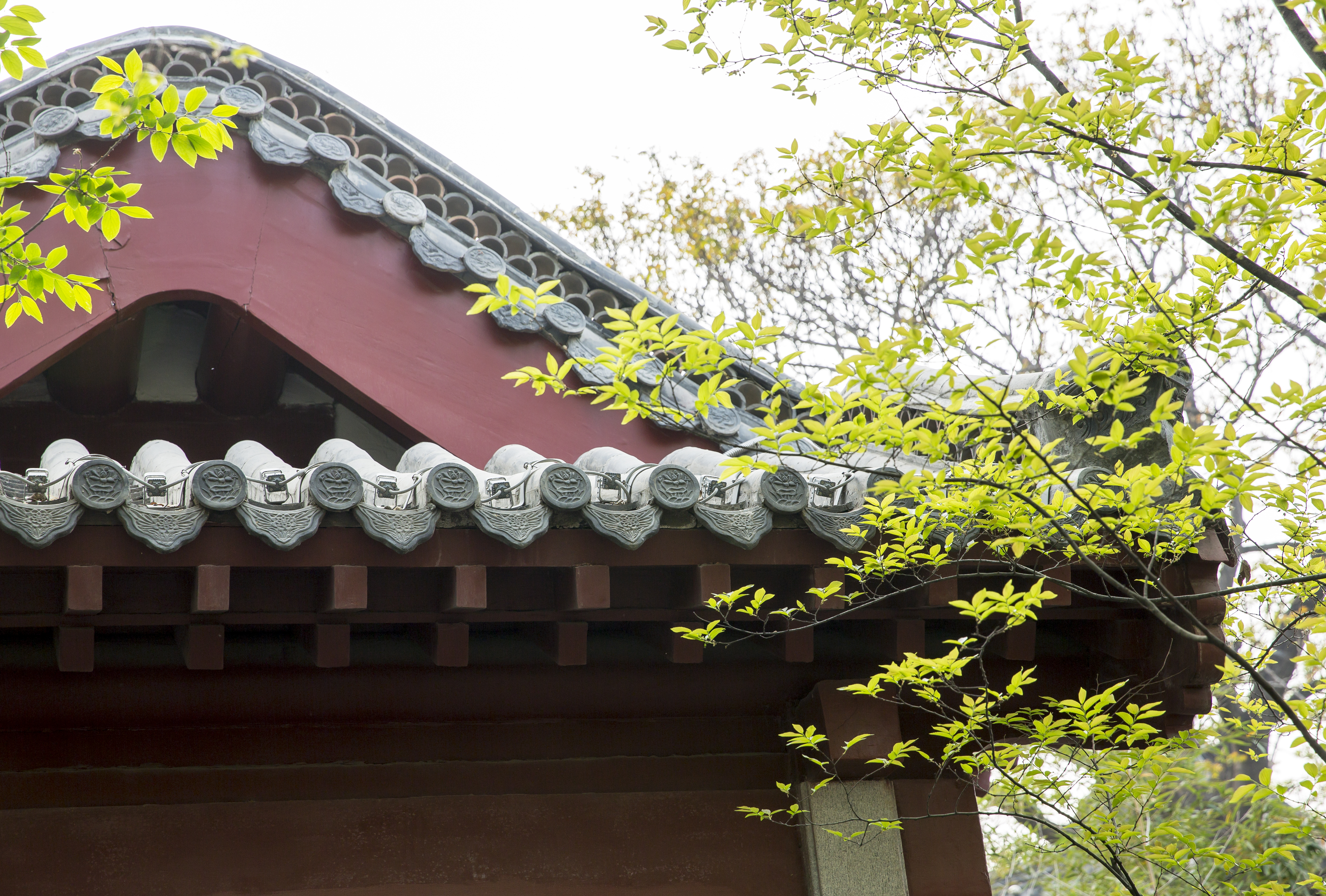 月字飞花令诗句集锦,飞花令月字诗句大全