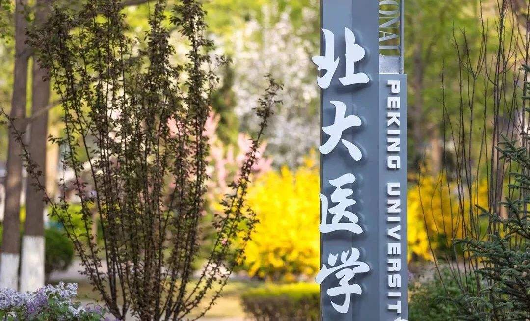 南昌大学临床医学实力怎么样,南昌大学未来会崛起吗